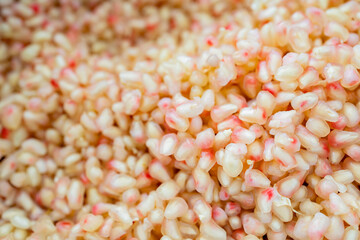 Close up shot of many fresh Pomegranate seeds