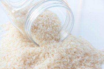 fresh and organic rice