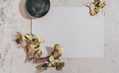 Vintage dark horizontal mockup flat lay photo of autumn stationery with white blank paper and dry authentic fall tree branches and paper clips. Online blog web banner. Styled stock photo, web banner.