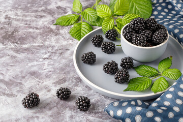 Ceramic blue bowl of fresh picked blackberries, branch with leaves and silk napkin on a stone background