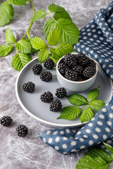 Fototapeta na wymiar Ceramic blue bowl of fresh picked blackberries, branch with leaves and silk napkin on a stone background