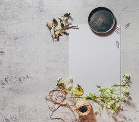 Vintage feminine mockup flat lay photo with white blank paper, green herbs and dry fall leaves, jute string and wooden branches. Boho wedding stationery. Online blog web banner. Top view photo.