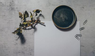 Moody dark vintage mockup flat lay photo of autumn stationery with white blank paper and dry authentic fall tree branches and paper clips. Online blog web banner. Styled stock photo, web banner.