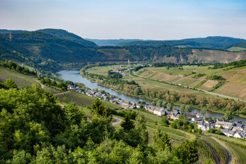 Blick von der Marienburg auf das Moseltal und Weinberge bei Pünderich