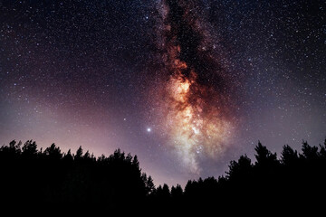 Silhouette of fir trees and beautiful starry sky with bright milky way galaxy. Night landscape....