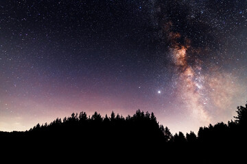 Silhouette of fir trees and beautiful starry sky with bright milky way galaxy. Night landscape. Astronomical background.