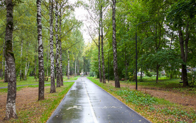 Obraz premium A deserted jogging tracks and walkway during the morning time in autumn public park in Nizhny Novgorod