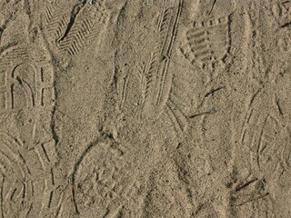 texture of the wood