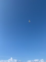 plane in the sky