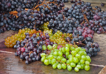Red, black and white (green) grapes on a table