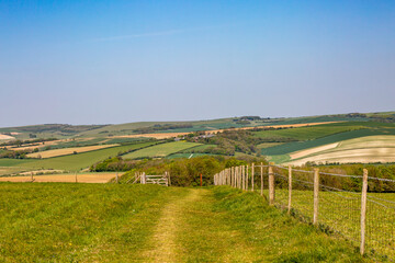 A Rural South Downs Landscape