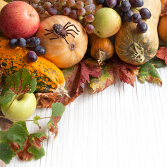 Composition of autumn pumpkins with apple and grapes on the wooden background