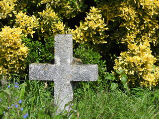 A cross in a bush and a bush