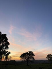 sunset in the serengeti
