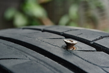 Close up metal screws nails embroidered in tires.