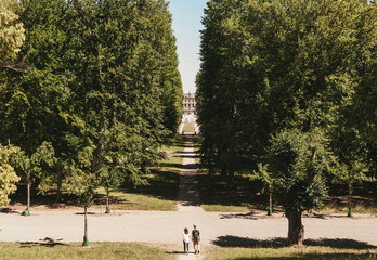people walking in park
