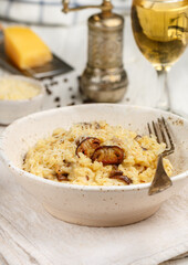 Risotto with porcini mushrooms, Parmesan cheese, Pecorino, onion, garlic, olive oil, dry white wine, freshly ground black pepper and aborio rice. Traditional dish of Mediterranean (Italian) cuisine