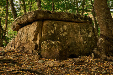 ancient megalith dolmen among trees in an autumn grove