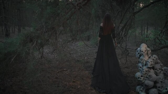Mysterious silhouette of a ghost woman in a black vintage long dress. Gothic pagan lady near many skulls of dead people. The vampire walks in a deep dark mystical forest. Back rear view
