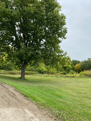 Scenic Minnesota Landscape in Early Autumn