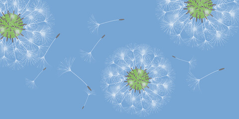 Dandelion background.