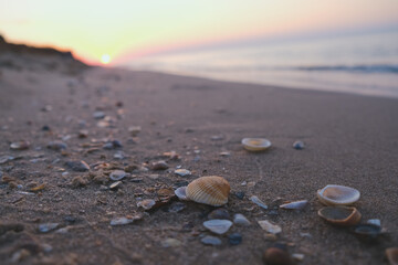 Beautiful beach with sunrise background. Focus on sea shell.