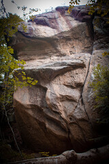 Rocks in the woods