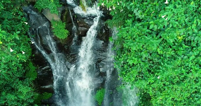 Aerial top down view waterfall among the tropical evergreen forests 4K