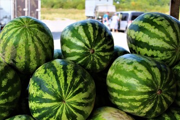 watermelons on market