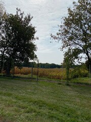 Obraz premium Scenic Minnesota Landscape in Early Autumn