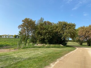 Scenic Minnesota Landscape in Early Autumn