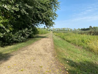 Scenic Minnesota Landscape in Early Autumn
