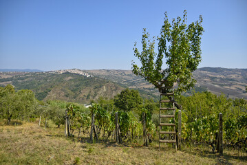 Fototapeta na wymiar Panoramic view of san Bartolomeo in Galdo, a rural village in the mountains of the Campania region, Italy.