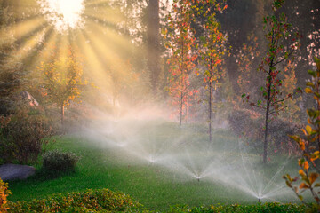 Automatic watering in the park at dawn