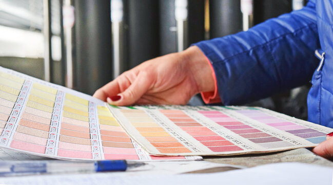 A young girl holds a palette in her hand with a selection of colors. Paint production.