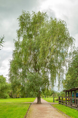 A path for pedestrians to walk in a modern green city park in the summer daytime