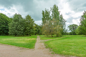 A path for pedestrians to walk in a modern green city park in the summer daytime