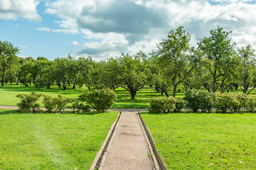 A path for pedestrians to walk in a modern green city park in the summer daytime
