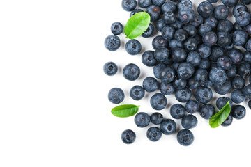 blueberries berries on white background with copy space
