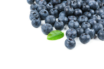 blueberries berries on white background with copy space