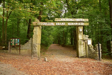 Arboretum Bramy Morawskiej – ogród botaniczny usytuowany we wschodniej części Raciborza obejmujący całym swoim zasięgiem las komunalny Obora. komunalny
Obora
krzewy
lato
 - obrazy, fototapety, plakaty