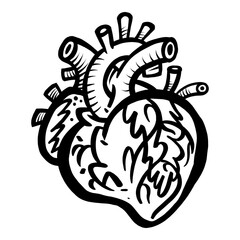 Heart organ with valves, tubes, and veins, in a cartoon illustration style