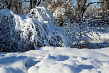 Winter landscape, Montana