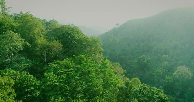 Aerial view hills overgrown with dense evergreen rainforest at sunset. 4K