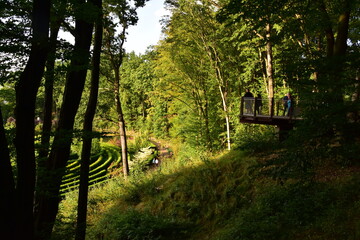 Arboretum Bramy Morawskiej – ogród botaniczny usytuowany we wschodniej części Raciborza obejmujący całym swoim zasięgiem las komunalny Obora. komunalny
Obora
krzewy
lato
 - obrazy, fototapety, plakaty