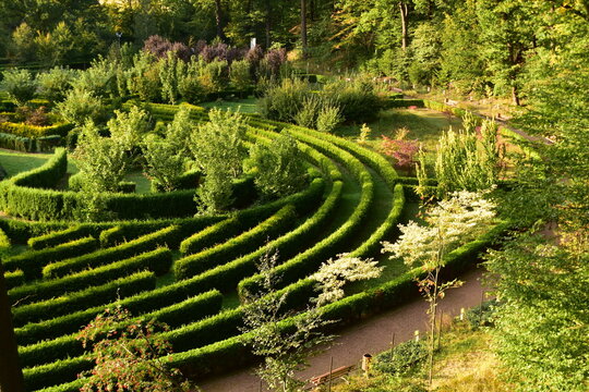 Arboretum Bramy Morawskiej &ndash; ogr&oacute;d botaniczny usytuowany we wschodniej części Raciborza obejmujący całym swoim zasięgiem las komunalny Obora. komunalny
Obora
krzewy
lato
