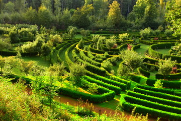Obraz premium Arboretum Bramy Morawskiej – ogród botaniczny usytuowany we wschodniej części Raciborza obejmujący całym swoim zasięgiem las komunalny Obora. komunalny Obora krzewy lato 