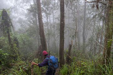Fototapeta premium Balinese hiking down from Agung volcano in the foggy tropical forest, in Bali, Indonesia.