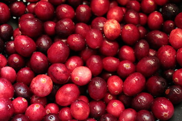 red cranberries background