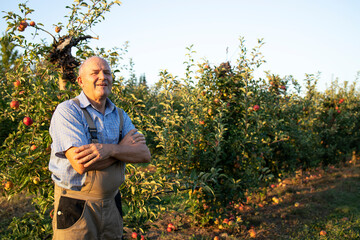 Portrait of orchard farm worker with arms crossed proudly standing by apple trees.